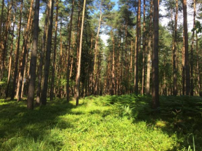 Ferienwohnung am Haff